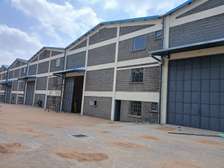 7,217 ft² Warehouse in Ruaraka