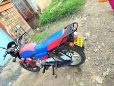 Boxer150