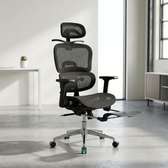 Orthopedic Mesh Office Chair with Footrest