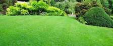 Expert Lawn Mowing & Garden Maintenance Limuru Tigoni