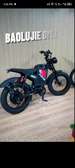 ELECTRIC BIKES