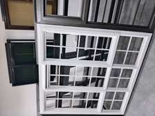 Modern French Windows