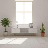 Modern Wooden TV Stand