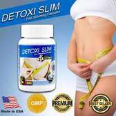 DETOXI SLIM | FAST SLIMMING – 60 CAPSULES