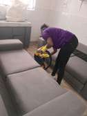 Sofa set cleaning