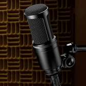 Audio-Technica AT2020 Condenser Microphone