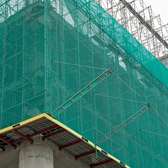 SCAFFOLDS NETS