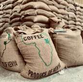 Premium Fresh Roasted Arabica Coffee Beans Medium-Dark