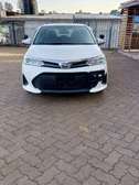 Toyota Corolla AXIO Manual 2019 model white color
