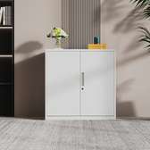 Office Cabinet: 2-Door Office Cabinet In Gesima