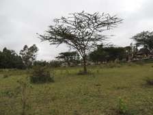 2 ac Land in Ongata Rongai