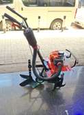 Handpush Weeder
