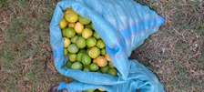 FRESH LEMONS