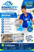 Sofa cleaning