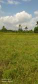 Prime land for sale in kaloleni kilifi(msa)