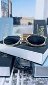 Golden Aviator Luxe Shades