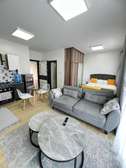 Serviced Studio Apartment with En Suite in Kileleshwa