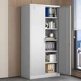 Premium 2-Door Steel Office Cabinet
