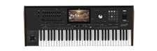 Korg PA1000 Professional Keyboard