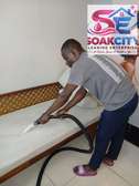 Sofa cleaning