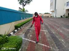 Snake Control and Elimination Services Meru