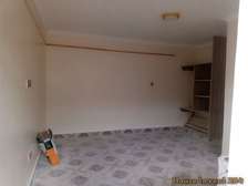BRAND NEW AND EXECUTIVE BEDSITTER APARTMENT FOR RENT
