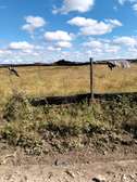 Expansive Rural Land 10 Acres Flat Fertile Soil