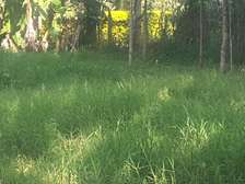Stunning 1.2 Acre Land in Ngong
