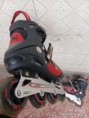 SKATES