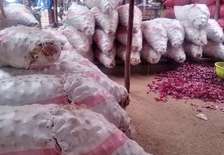 Potatoes available (Shangi)Big size