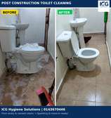 Toilet/Washroom Descaling and Detailed Cleaning.