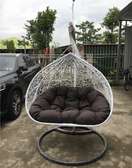 Modern Double Egg Swing Chair