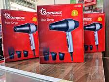 RAMTONS RM/696 Hair Dryer Black Silver Lightweight