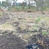 100*100 plot for sale