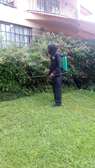 Pest Control and Fumigation Services Mwihoko