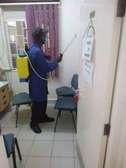 Pest Control and Fumigation Services Gigiri