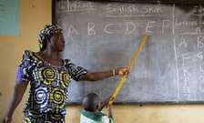 Professional Tutors/Teachers
