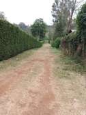 Prime One Eighth Acre Plots in Ngong