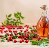 Rosehip oil