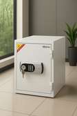 Fireproof Safe; 50 Kgs Diplomat Fireproof Safe in Ogembo