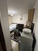 The modern penthouse studio  South C