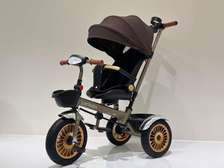 Lollipoly Kids Tricycle Brown Black with Canopy