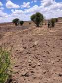 ALPHA NEW HERI KABATI 1/8 ACRE PLOTS