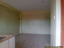 SPACIOUS BEDSITTER APARTMENT FOR RENT