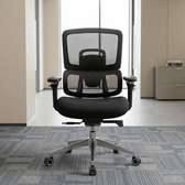 Orthopedic Ergonomic Office Chair