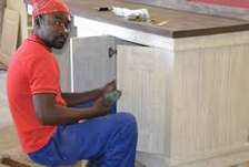 Professional Painters