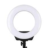14-Inches RL LED Ring Light (AC Power) 2.1m Tripod Stand