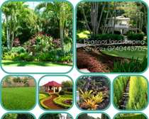 Landscaping design installation