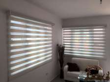 zebra blinds