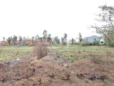 Prime 1/4 acre plot for sale in Ruiru Mhasibu